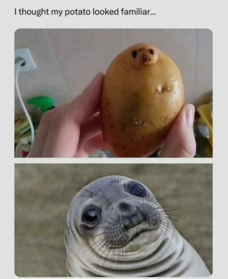 Daily Pictures. Part 1 (64 pics)