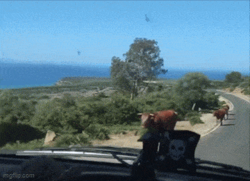 Acid GIFs, June 2 (25 gifs) Acid GIFs, June 2 (25 gifs)