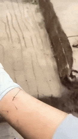 Acid GIFs, June 2 (25 gifs)