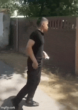 Acid GIFs, June 2 (25 gifs) Acid GIFs, June 2 (25 gifs)