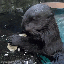 Acid GIFs, June 2 (25 gifs) Acid GIFs, June 2 (25 gifs)