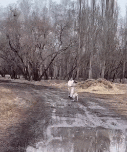 Acid GIFs, June 2 (25 gifs) Acid GIFs, June 2 (25 gifs)