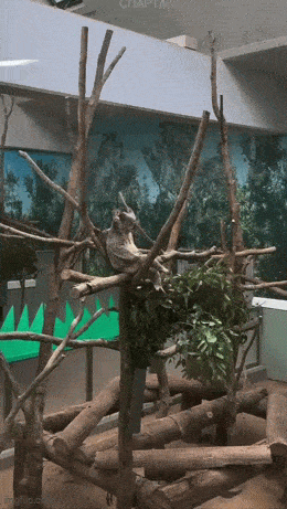 Acid GIFs, June 2 (25 gifs) Acid GIFs, June 2 (25 gifs)