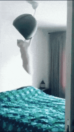 Acid GIFs, June 2 (25 gifs)