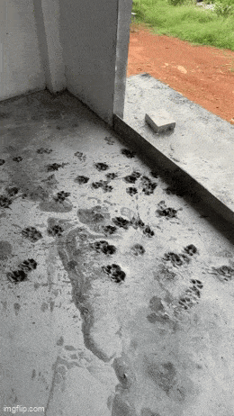 Acid GIFs, June 2 (25 gifs) Acid GIFs, June 2 (25 gifs)