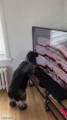 Acid GIFs, June 2 (25 gifs)