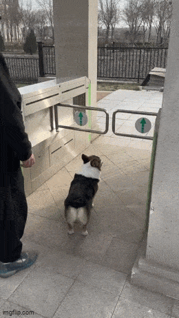 Acid GIFs, June 2 (25 gifs) Acid GIFs, June 2 (25 gifs)