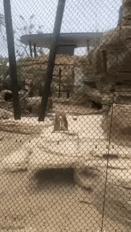 Acid GIFs, June 2 (25 gifs) Acid GIFs, June 2 (25 gifs)