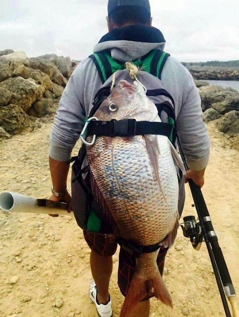 Giant Things (17 pics)