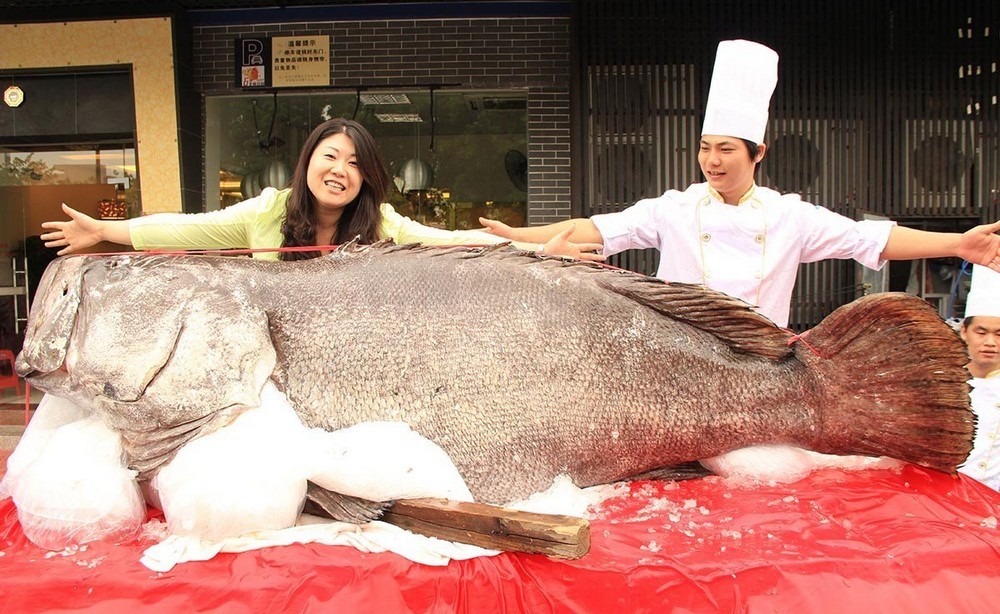 Giant Things (17 pics)