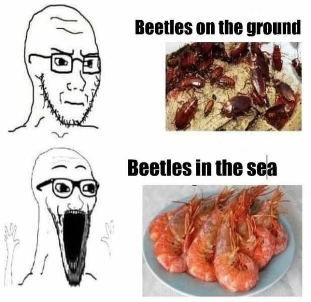 Daily Pictures. Part 2 (62 pics)