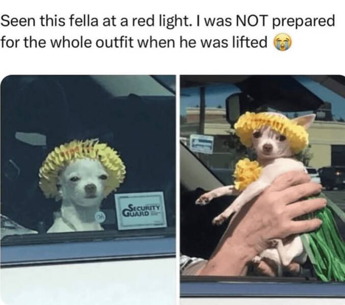 Daily Pictures. Part 2 (62 pics)