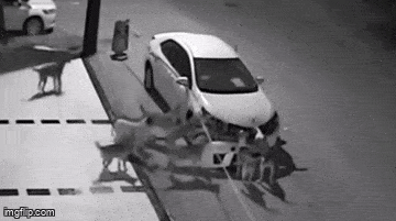 Acid GIFs, June 3 (25 gifs)
