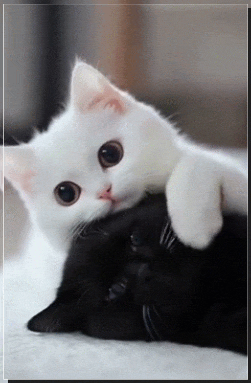 Acid GIFs, June 3 (25 gifs)