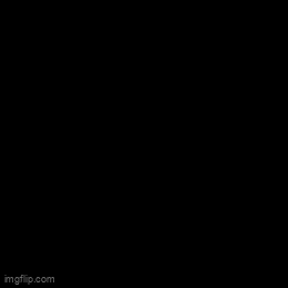 Acid GIFs, June 3 (25 gifs)