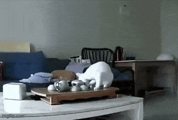 Acid GIFs, June 3 (25 gifs)