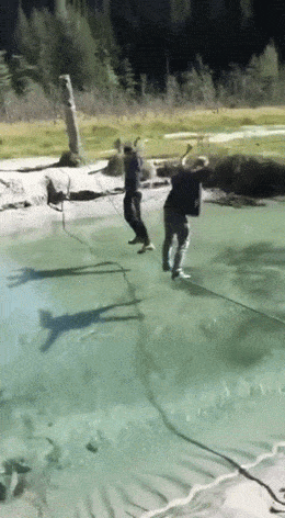 Acid GIFs, June 3 (25 gifs)