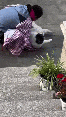 Acid GIFs, June 3 (25 gifs)