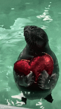 Acid GIFs, June 3 (25 gifs)