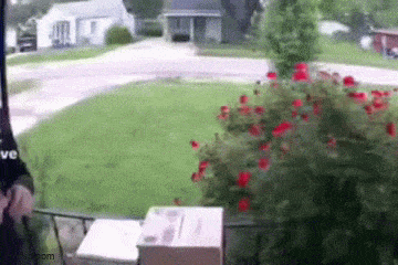Acid GIFs, June 3 (25 gifs)