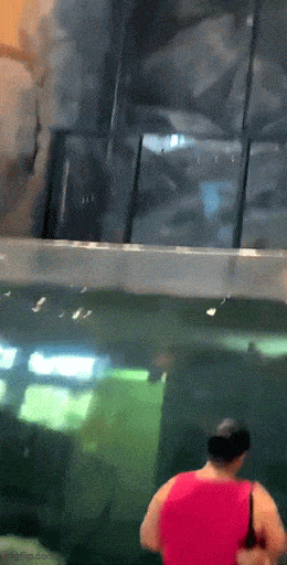 Acid GIFs, June 3 (25 gifs)