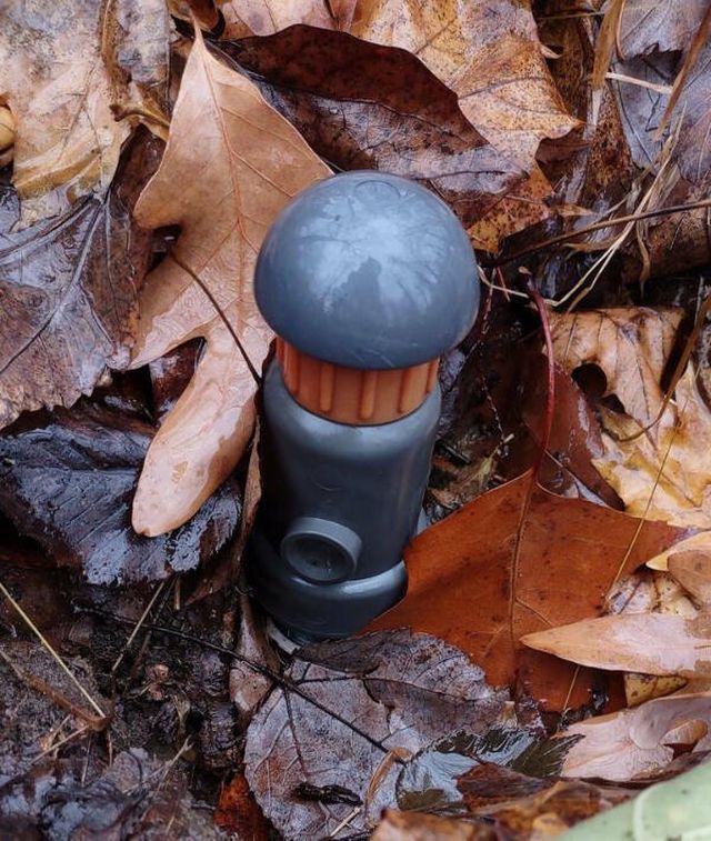 What Are These Things? (15 pics)