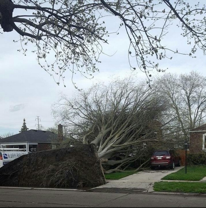 Bad Days Happen (20 pics)