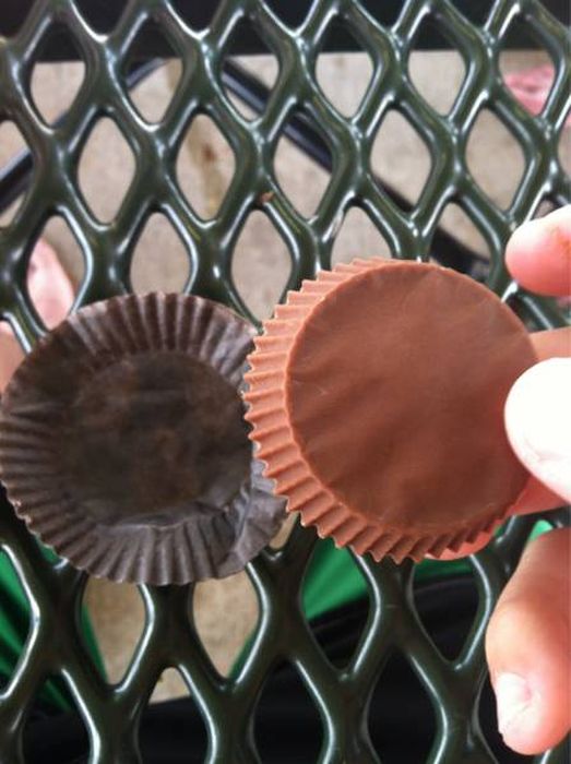 Photos For Perfectionists (18 pics)