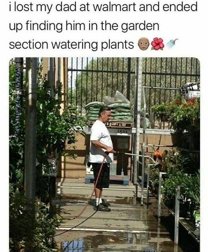 Daily Pictures. Part 2 (62 pics)