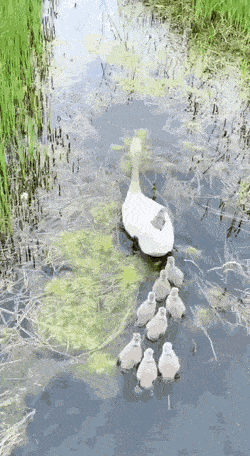 Acid GIFs, June 4 (25 gifs) Acid GIFs, June 4 (25 gifs)