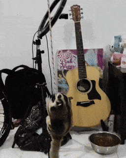 Acid GIFs, June 4 (25 gifs) Acid GIFs, June 4 (25 gifs)