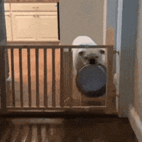 Acid GIFs, June 4 (25 gifs) Acid GIFs, June 4 (25 gifs)