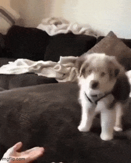 Acid GIFs, June 4 (25 gifs) Acid GIFs, June 4 (25 gifs)