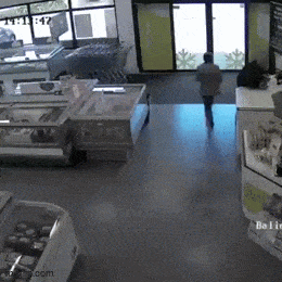 Acid GIFs, June 4 (25 gifs)