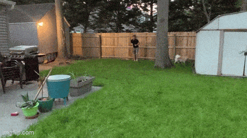 Acid GIFs, June 4 (25 gifs) Acid GIFs, June 4 (25 gifs)
