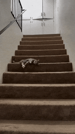 Acid GIFs, June 4 (25 gifs)