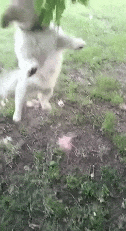 Acid GIFs, June 4 (25 gifs) Acid GIFs, June 4 (25 gifs)