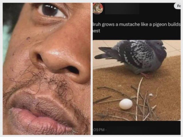 Funny Comments (22 pics)