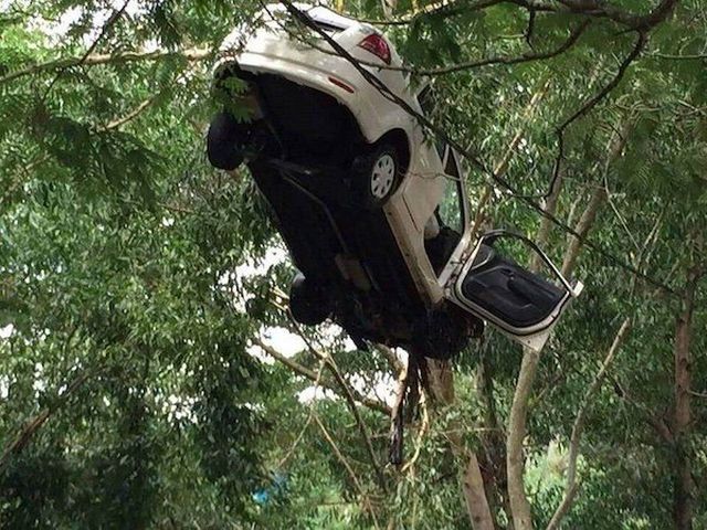 What Is Going On Here? (35 pics)