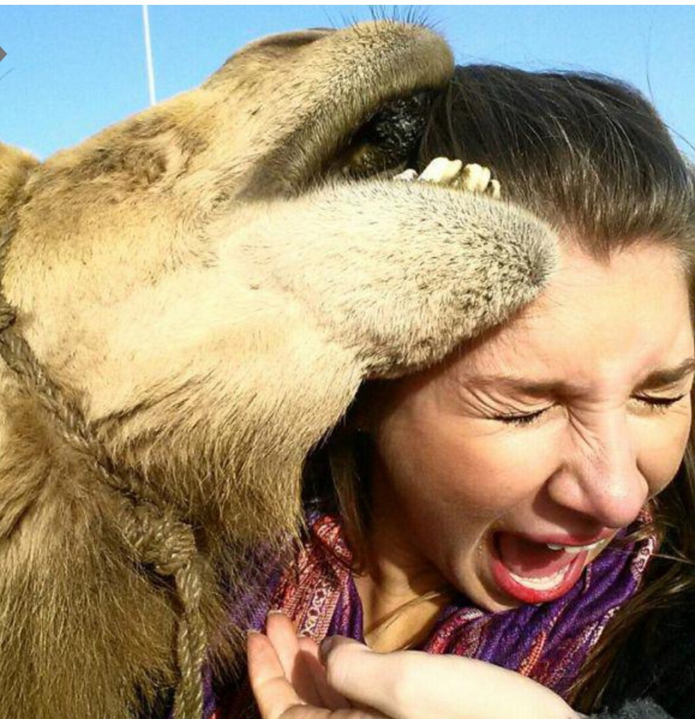 Bad Days Happen (20 pics)