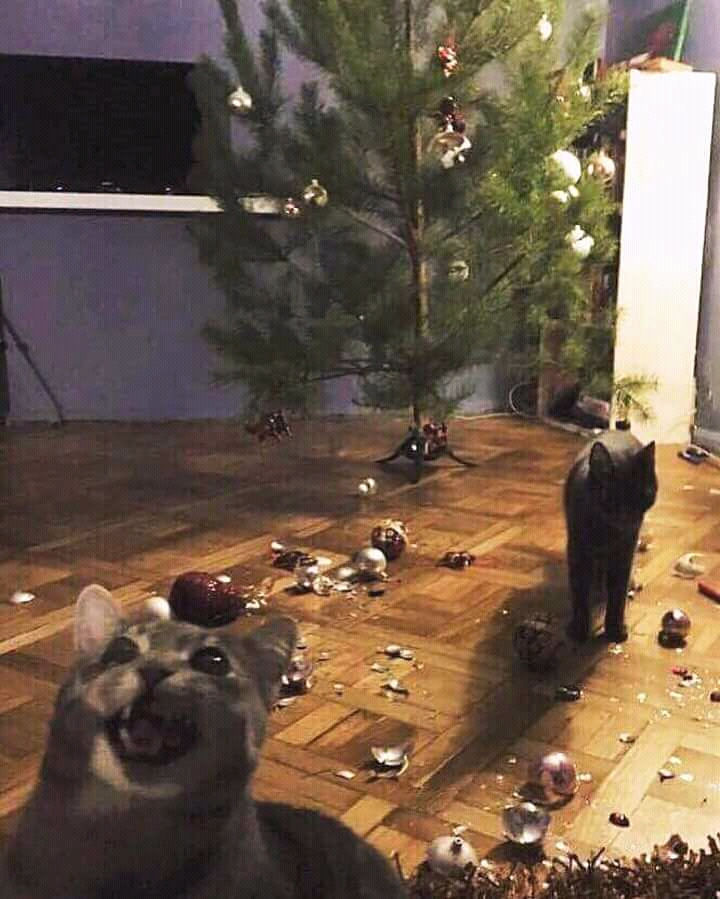 Bad Days Happen (20 pics)