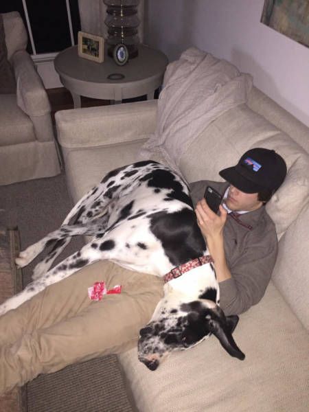 Daily Pictures. Part 2 (64 pics)