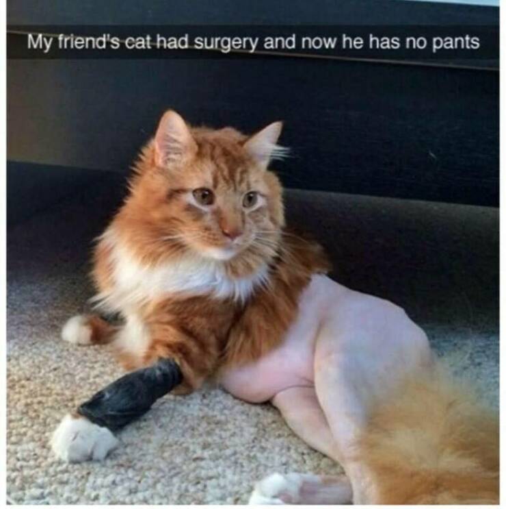 Daily Pictures. Part 2 (64 pics)