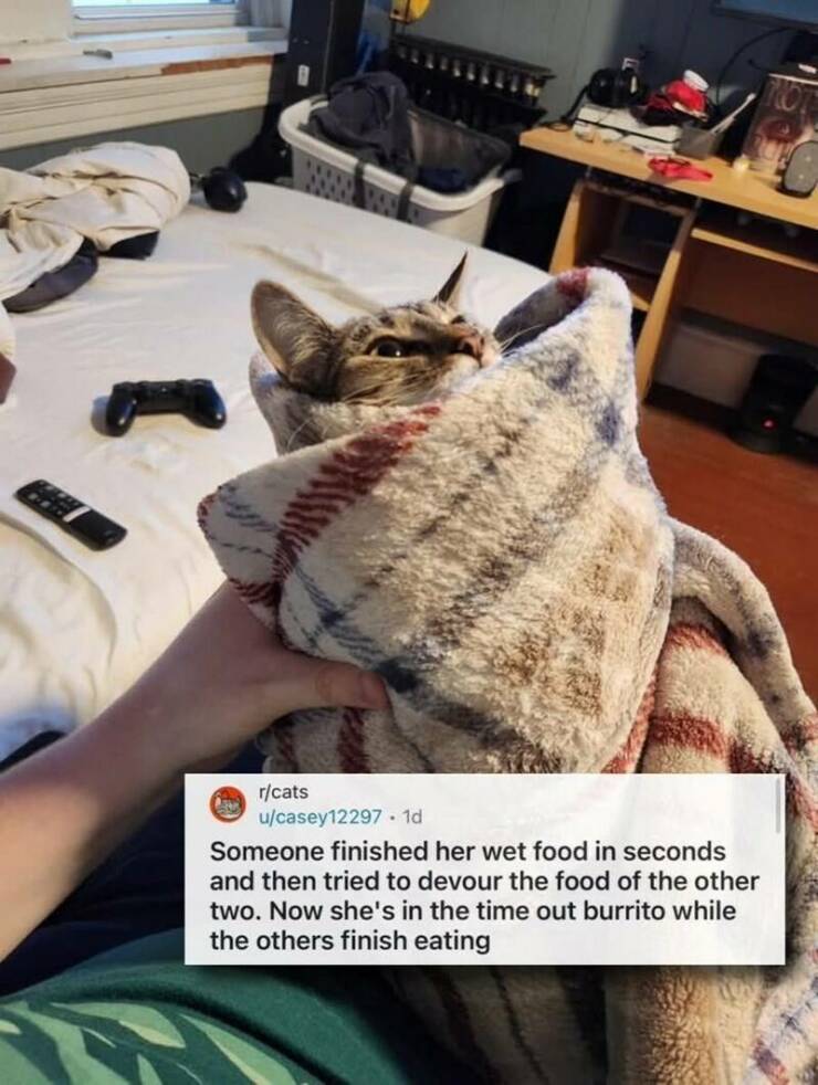Daily Pictures. Part 2 (64 pics)