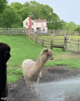 Acid GIFs, June 5 (25 gifs) Acid GIFs, June 5 (25 gifs)