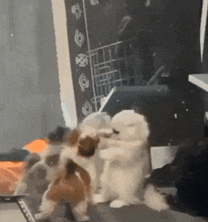 Acid GIFs, June 5 (25 gifs) Acid GIFs, June 5 (25 gifs)