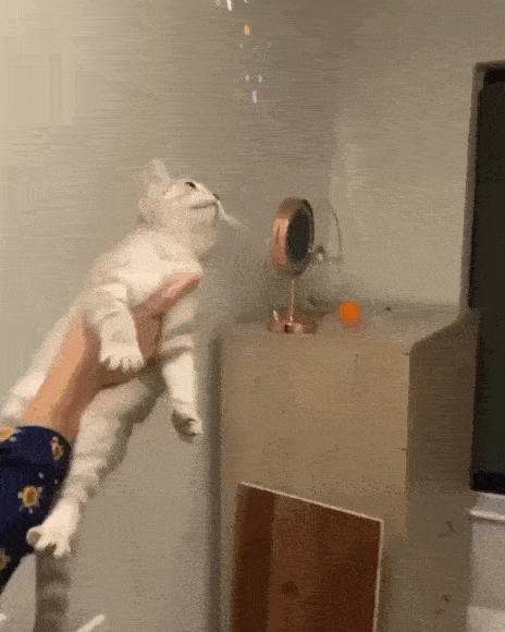 Acid GIFs, June 5 (25 gifs) Acid GIFs, June 5 (25 gifs)
