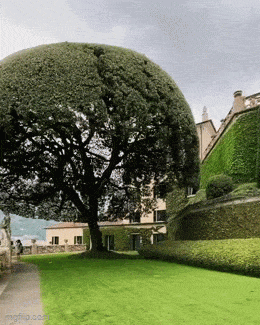 Acid GIFs, June 5 (25 gifs) Acid GIFs, June 5 (25 gifs)
