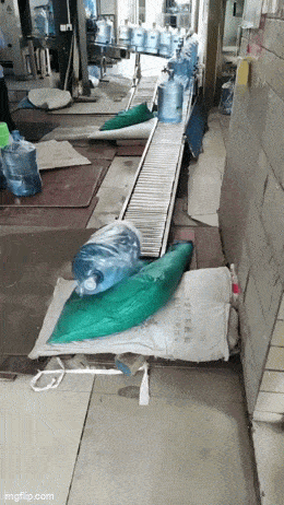 Acid GIFs, June 5 (25 gifs) Acid GIFs, June 5 (25 gifs)