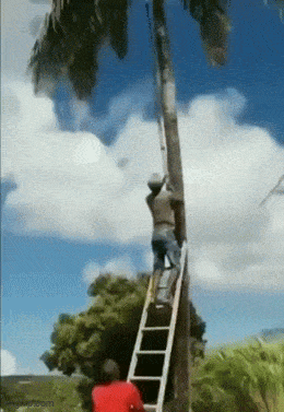 Acid GIFs, June 5 (25 gifs) Acid GIFs, June 5 (25 gifs)